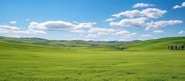 自然の風景パノラマの緑のフィールドが生成します