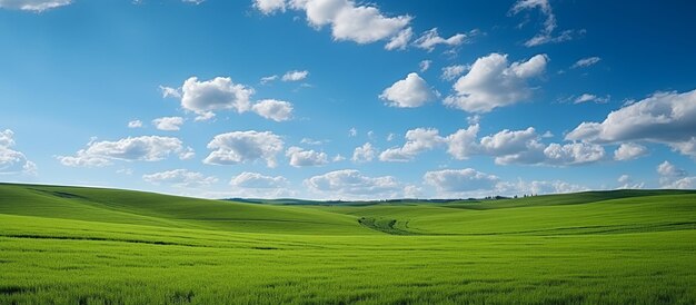 自然の風景パノラマの緑のフィールドが生成します