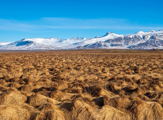 Natural scenic view of mountains and field in winter season in Iceland