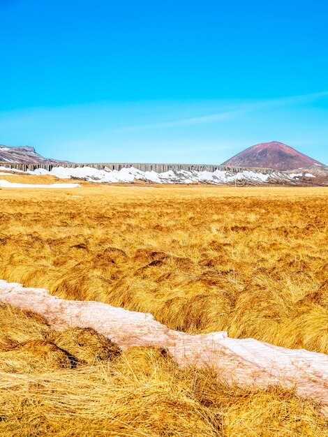 Natural scenic view of mountains and field in winter season in iceland