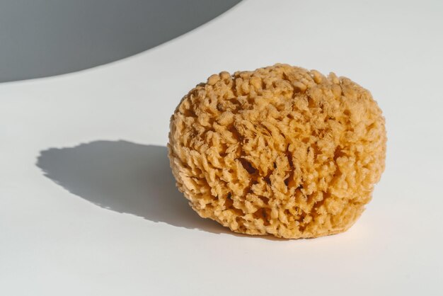 Natural sea sponge on a white background