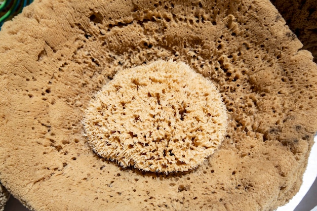 Natural sea sponges sold on a greek market