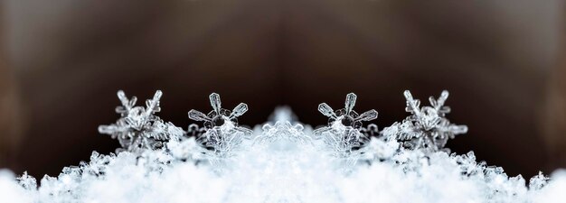 natural snowflakes on snow the picture is made at a temperature of10 C