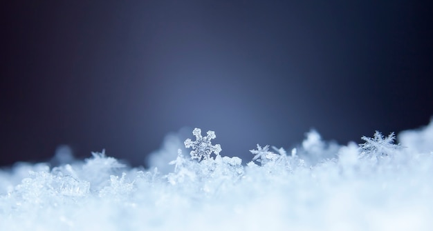 Natural snowflakes on snow, winter