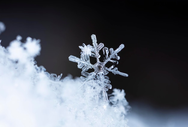 natural snowflakes on snow winter