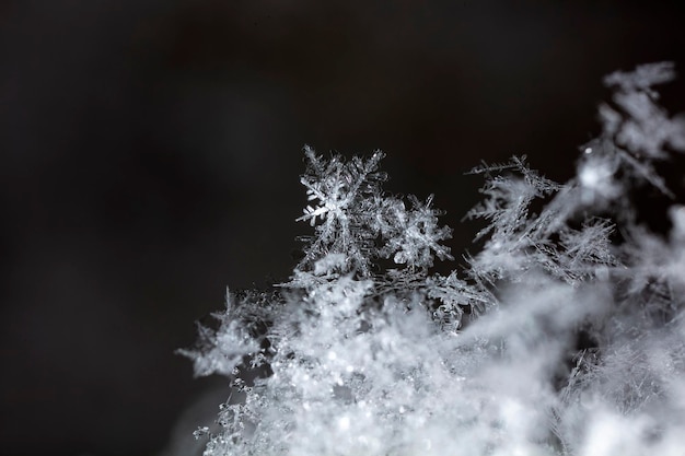 雪の冬の自然な雪