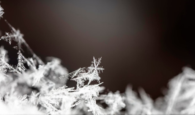 natural snowflakes on snow, winter