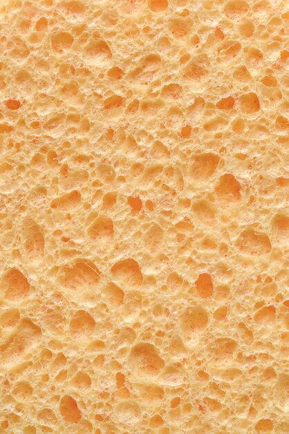 Natural sponge porous surface