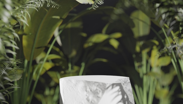 포장 제품을 위한 꽃 빈 쇼케이스가 있는 열대 숲의 천연석과 콘크리트 연단