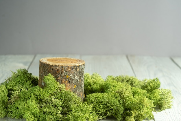 natural style. Wooden podium or display stands with green moss on a white background. Still life for products presentation.