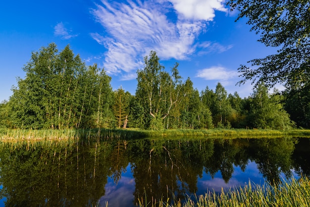 Natural summer landscape with river in forest and green meadow