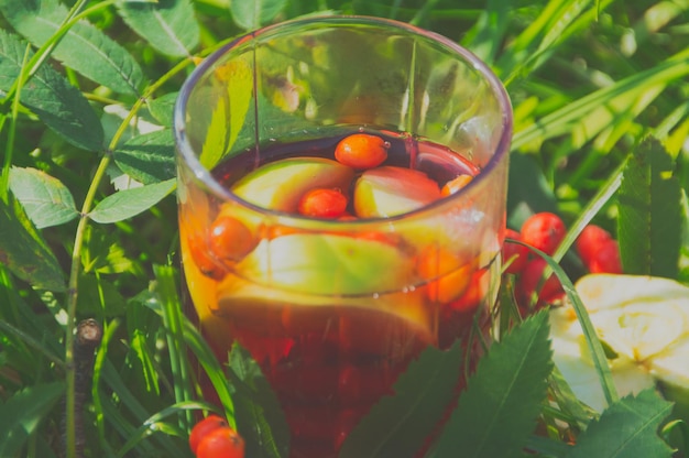 Natural tea, apples and berries mountain ash.