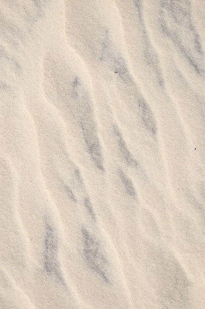 Natural texture of beige beach sand