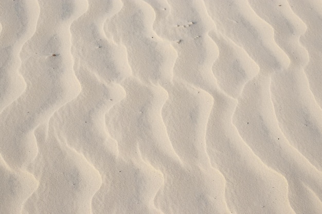 Natural texture of beige beach sand