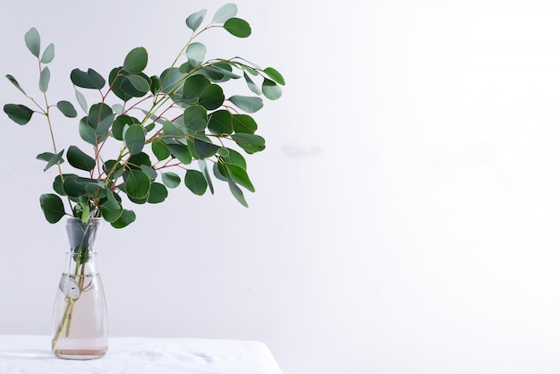 Natural twig of fresh evergreen Eucalyptus plant in a ceramic mug on a table covered textile cloth against light grey wall.