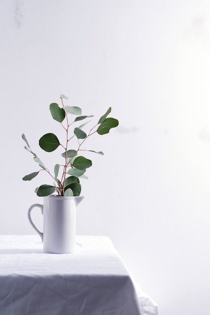 Natural twig of fresh evergreen Eucalyptus plant in a ceramic mug on a table covered textile cloth against light grey wall.