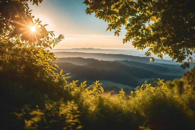 사실적인 자연보기