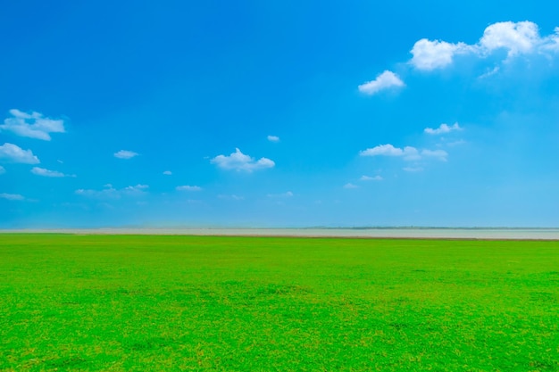 Natural view wide fields and clear sky