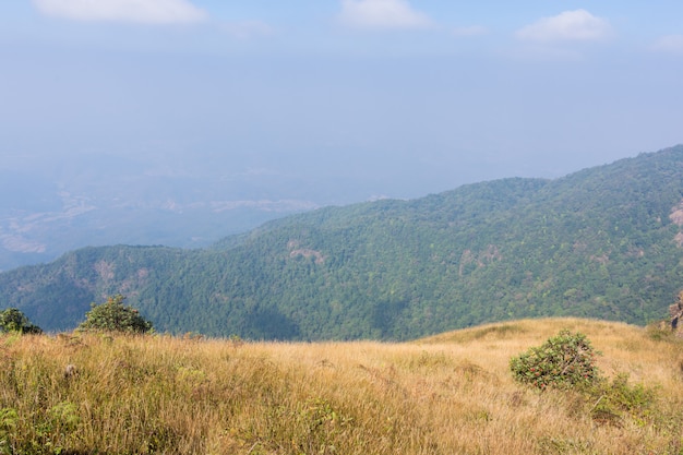 Природные виды и деревья в Kew Mae Pan