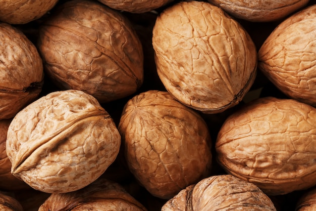 Natural Walnuts in shell  dramatic contrast