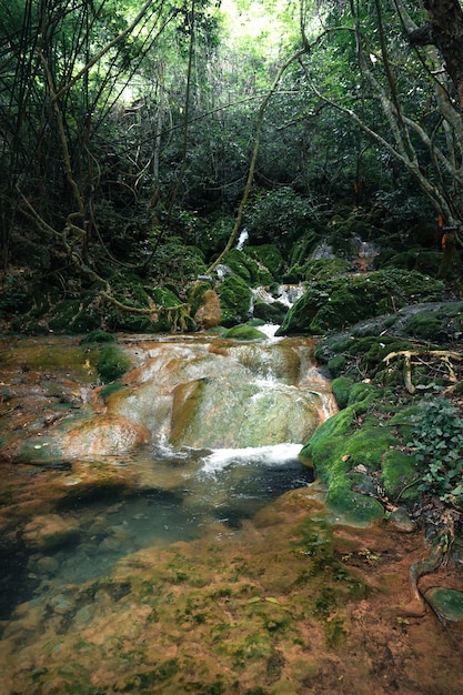 Natural Waterfall and moss in tropical nature