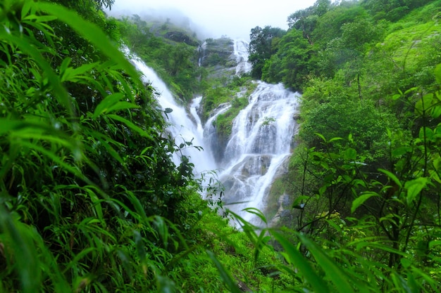 Natural waterfall