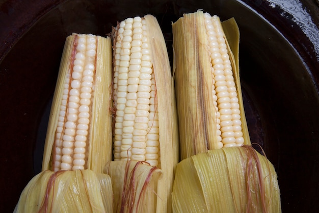 natural white corn on the cob boiled