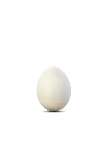 Natural White egg on white background Clipping Paths