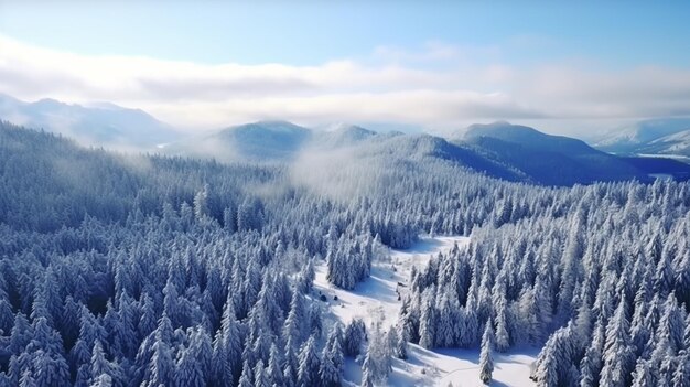 Natural winter landscape aerial drone top view Winter season weather