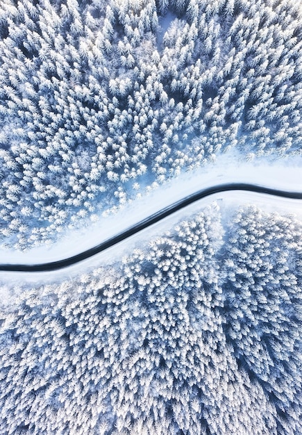 空から見た冬の自然風景 冬季の道路や森の空撮 雪下の森 冬の旅のイメージ