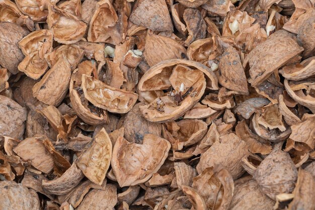 The Natural Wonder of Walnut Shells A Closer Look