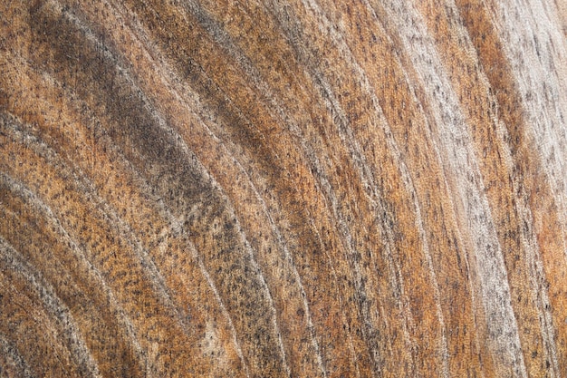 Natural wood background