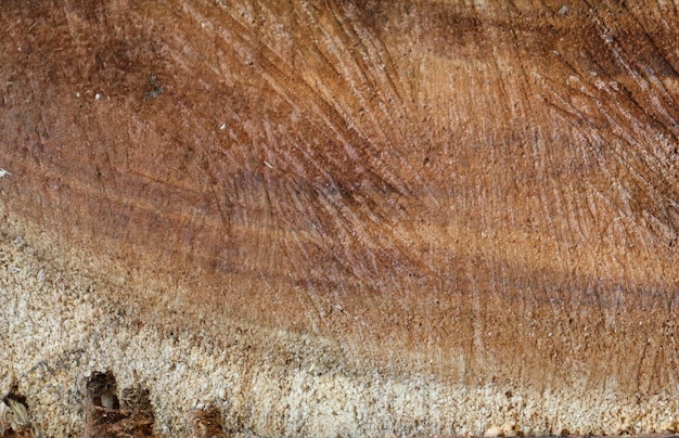 Natural wood pattern texture