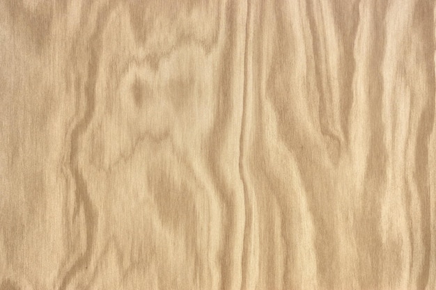 Natural wood pattern texture