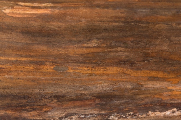 Photo natural wood texture closeup background. hardwood surface, old tree bark backdrop