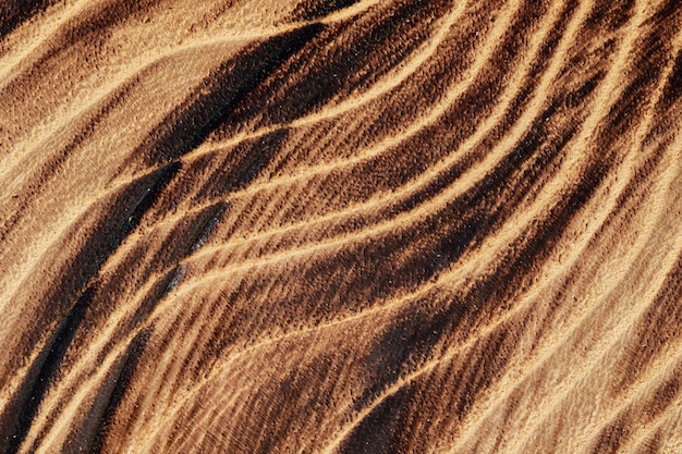 Фон текстуры поверхности сегмента ствола из натурального дерева