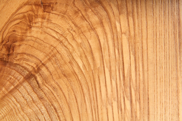 Natural wood with rings and texture of timber texture.