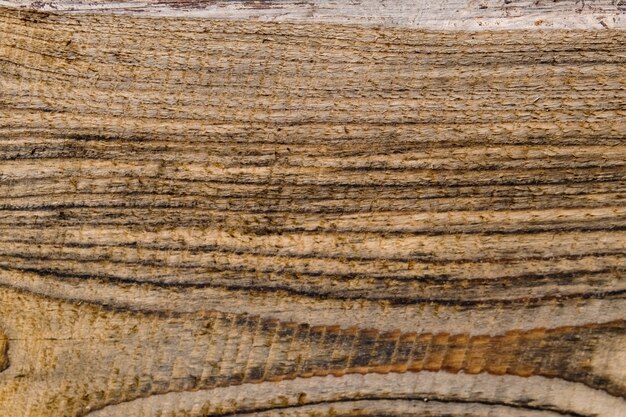 Natural wooden background. Close-up.