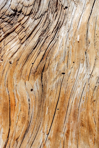 Natural Wooden background