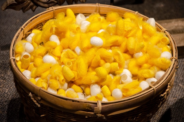 Photo natural yellow and white cocoons