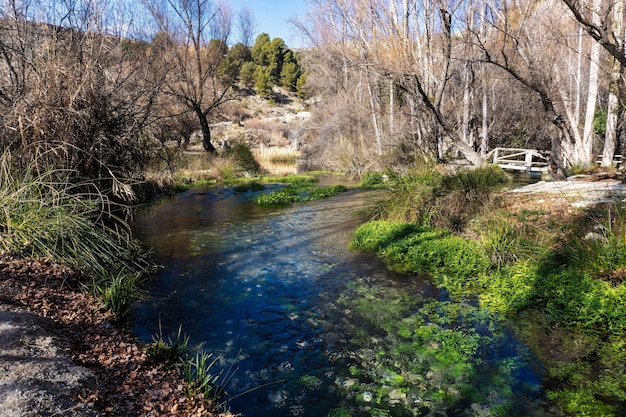 Naturaleza en Pozo Alcon, Хаэн, Испания