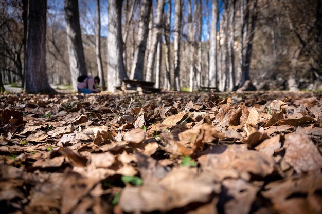 Naturaleza en Pozo Alcon, Jaen, Spain