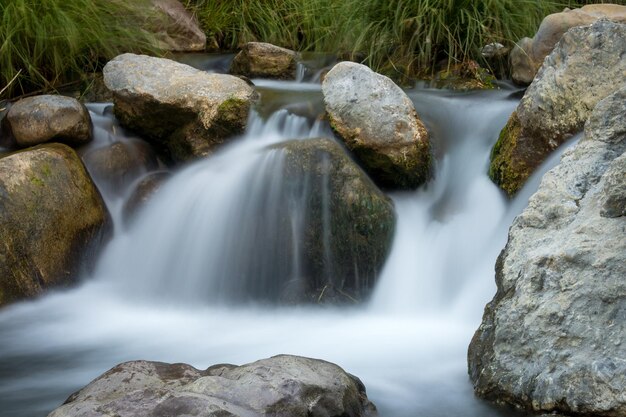 Foto salvataggio naturale