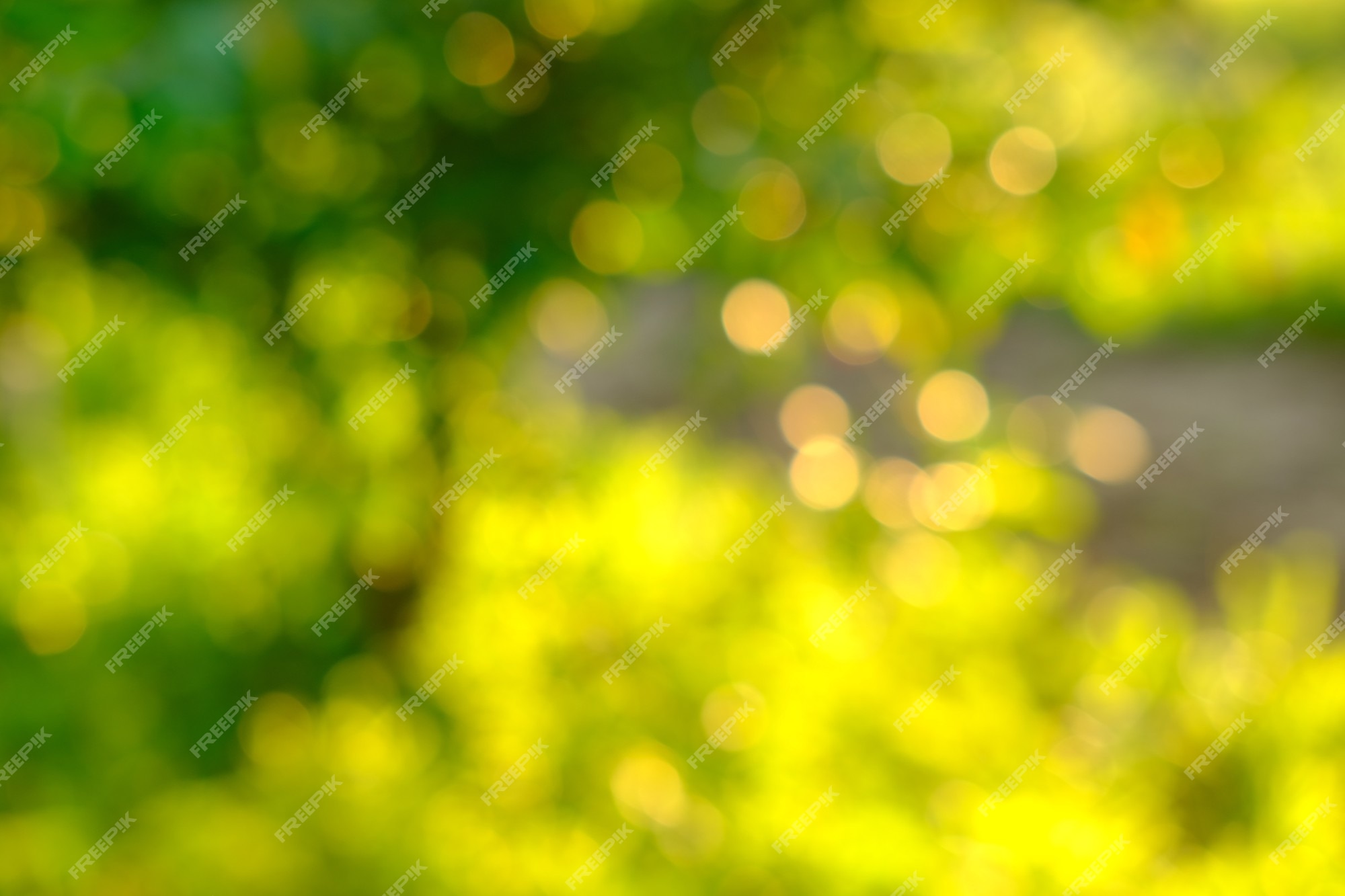 Premium Photo | Nature abstract green and yellow gold blurred background  sunlight shining to the leaves under