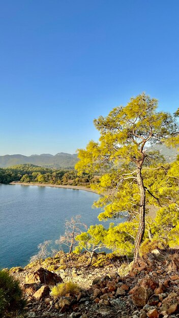 Foto natura della costa egea della turchia