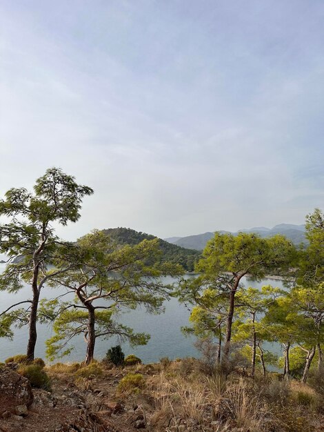 Foto natura della costa egea della turchia