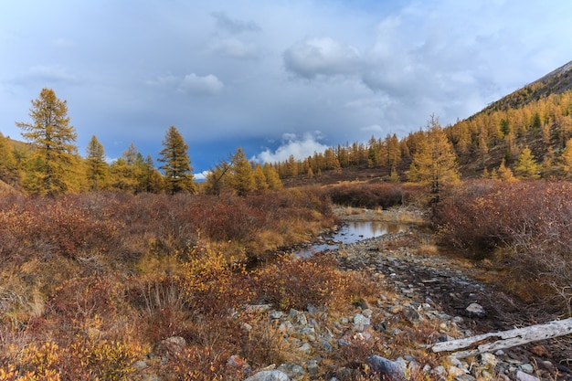 The nature of Altai Mountains Russia