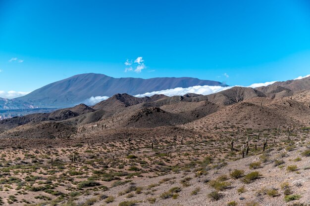 Nature of andes mountains with beautiful panorama south