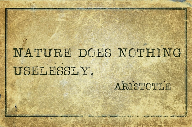 Nature Aristotle