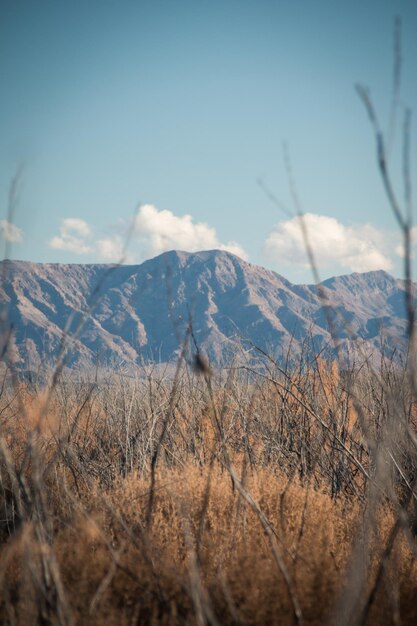 Photo nature around lake mead national recreation area with mountains in the background